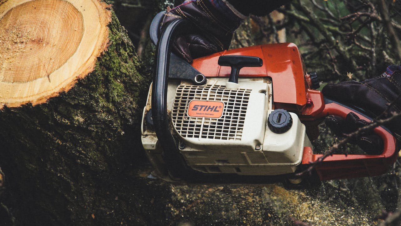 Services A person uses a chainsaw to cut through a tree trunk outdoors, showcasing forestry work.