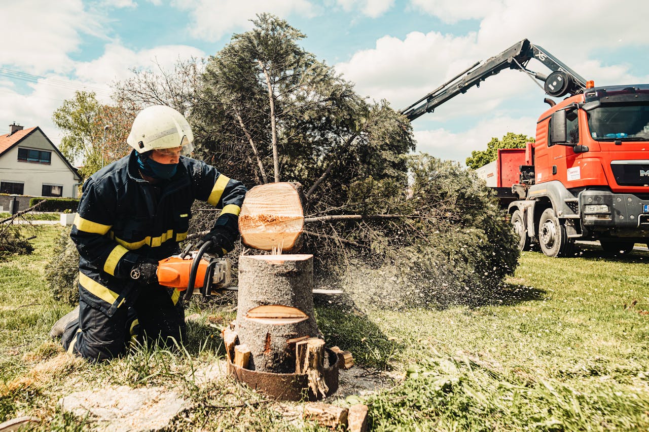Mastering the First Impression: Your intriguing post title goes here A firefighter uses a chainsaw to cut a tree stump while a truck assists in an outdoor setting.